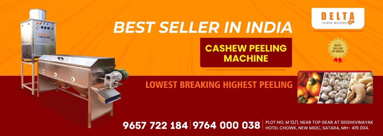 delta-cashew-machine